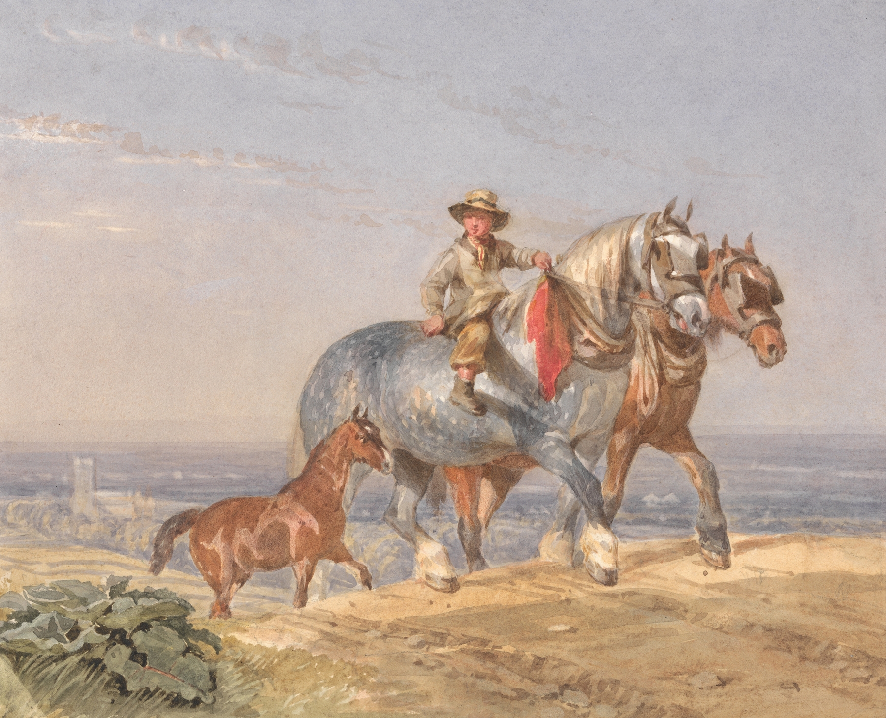 Ploughboy home